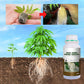 🌱 ACHETEZ 3 - RECEVEZ 1 GRATUIT ! ✨ Stimulateur Racinaire Ultra-Rapide - Développe des Racines Solides en 7 Jours, Naturel et Sans Danger 🪴🔬