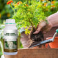 🌱 ACHETEZ 3 - RECEVEZ 1 GRATUIT ! ✨ Stimulateur Racinaire Ultra-Rapide - Développe des Racines Solides en 7 Jours, Naturel et Sans Danger 🪴🔬