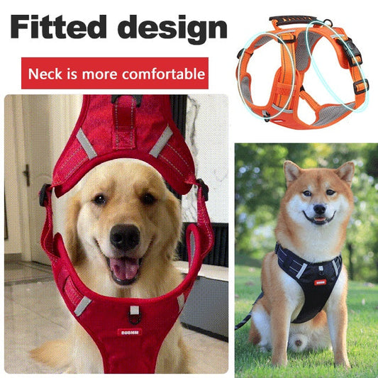 🔥Soldes exceptionnelles - 70 % de réduction🔥🐕Prix - Laisse pour animal gratuite !