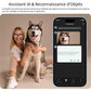 Lunettes caméra AI Smart 4K, vidéos HD 1080P, verres photochromiques, ultra grand-angle anti-vibration, enregistrement Vlog, traduction IA, assistant vocal IA, oreilles libres, transmission Wi‑Fi, contrôle de la musique
