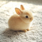 💥50 % de réduction 💖Cadeau parfait🐰Dollya® Bunby🐇 Jouet en peluche lapin mignon et réaliste