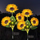 🌻Lampes solaires de jardin étanches en forme de tournesol☀️