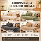 Housse de canapé épaisse et antidérapante – Ultra-douce, lavable, résistante aux rayures et adaptée aux animaux de compagnie, 4 couleurs 🛋️✨