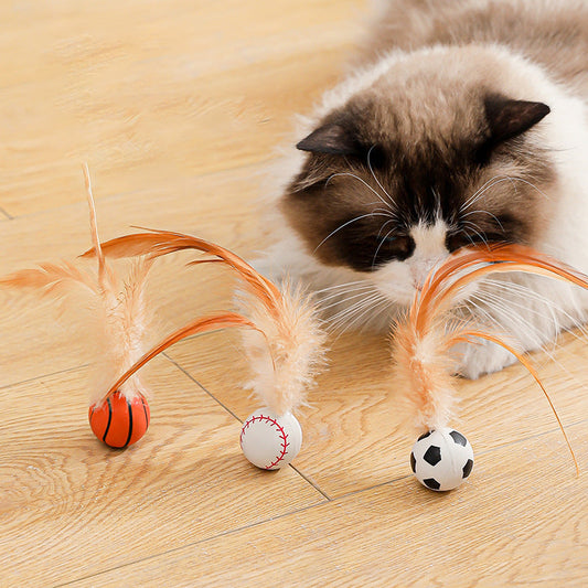 🔥50 % de réduction jusqu'à épuisement des stocks !🎉Balle rebondissante interactive pour chat avec ressort