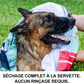 🔥Dernier jour de soldes 49% OFF🔥Gants shampooing sans rinçage pour chiens – Lingettes hypoallergéniques pour le bain des animaux, 6 packs