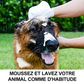 🔥Dernier jour de soldes 49% OFF🔥Gants shampooing sans rinçage pour chiens – Lingettes hypoallergéniques pour le bain des animaux, 6 packs