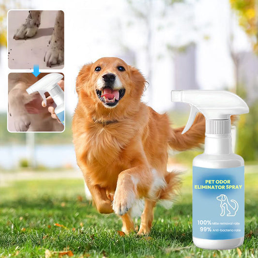 Spray Destructeur d'Odeur pour Animaux