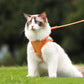 🐱 60% DE RÉDUCTION ! ✨ Harnais Réfléchissant Anti-Évasion pour Chat - Sécurité Nocturne avec Laisse Confortable et Ajustable 🌙🦺
