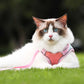 🐱 60% DE RÉDUCTION ! ✨ Harnais Réfléchissant Anti-Évasion pour Chat - Sécurité Nocturne avec Laisse Confortable et Ajustable 🌙🦺