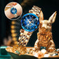 ⏳Spécial à durée limitée⏰Montre élégante et brillante⌚