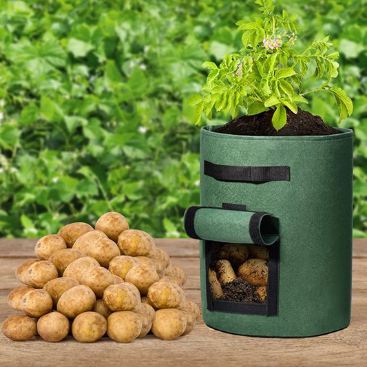 📢📢50 %  DE RÉDUCTION !!!🌱 Cultivez malin : Sac de plantation avec fenêtre de récolte !