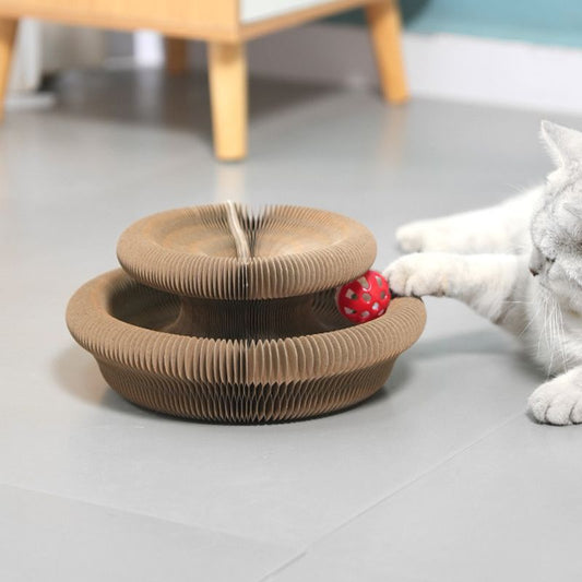 Griffoir accordéon magique pour chat