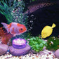💧🏊✨ PROMO -50% ! Éclairage LED Étanche IP68 pour Piscine – 16 Couleurs, Télécommande & Piles Incluses (⌀7x3 cm)