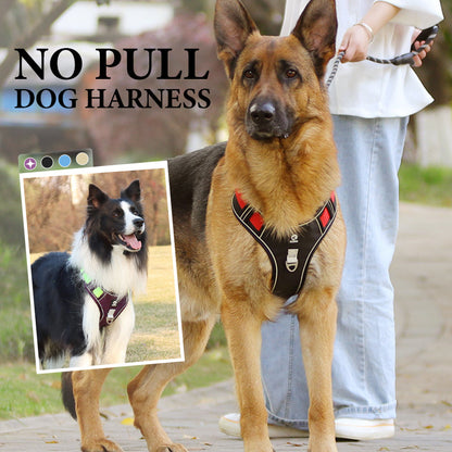 📢📢50 % DE RÉDUCTION !! ⏰Harnais anti-traction pour chien avec laisse et collier à LED