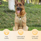 📢📢50 % DE RÉDUCTION !! ⏰Harnais anti-traction pour chien avec laisse et collier à LED
