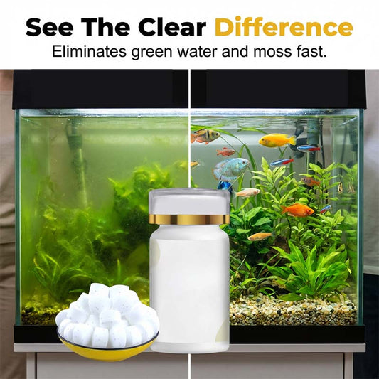 💐50% DE RÉDUCTION ! Traitement Anti-Algues Aquarium – Sans Danger pour Poissons & Plantes 🌿🐠【Qualité Pro】