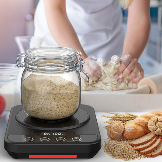 📢📢50 % DE RÉDUCTION !! ⏰Thermostat numérique pour fermentation de levure