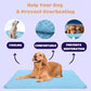 ❄️🐾Tapis rafraîchissant pour animaux (effet rafraîchissant 4 fois plus puissant)🐶 Un indispensable de l'été pour tous les propriétaires d'animaux