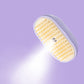 Brosse de massage 3-en-1 avec vaporisateur pour animaux